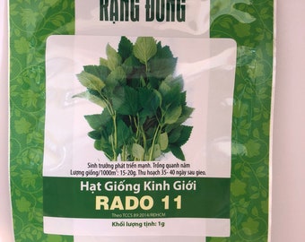 Vietnamese balm mint vegetable