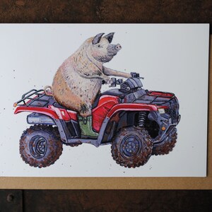 Pig Riding Bike Etsy UK