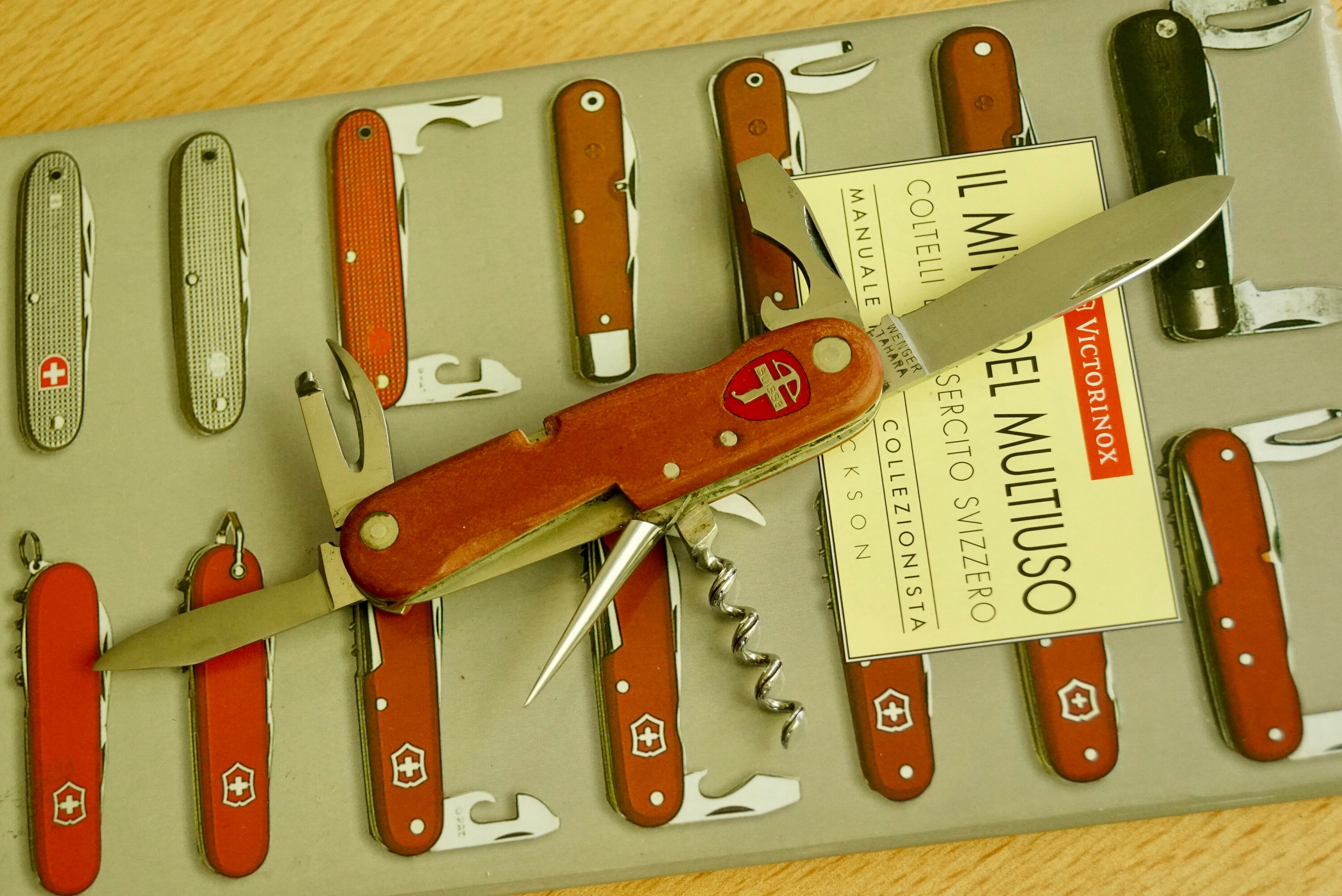 Wenger Tahara Crossbow Etsy New Zealand