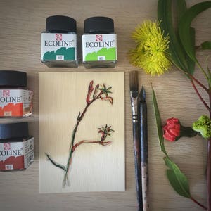 Single Kangaroo Paw - unique wood postcard printed on sustainable birch wood with paper backing