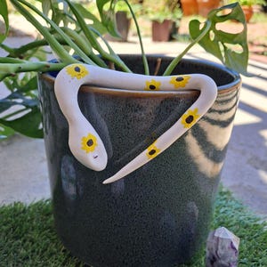 snake pot sitter