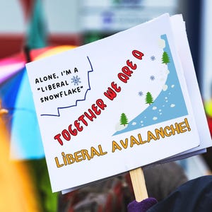Może przedstawiać: Biały znak z niebieskim i czerwonym tekstem, który brzmi: "Alone, I'm a "Liberal Snowflake" Together We Are A Liberal Avalanche!" Znak zawiera kreskówkową ilustrację lawiny śnieżnej z małymi drzewami i płatkami śniegu.
