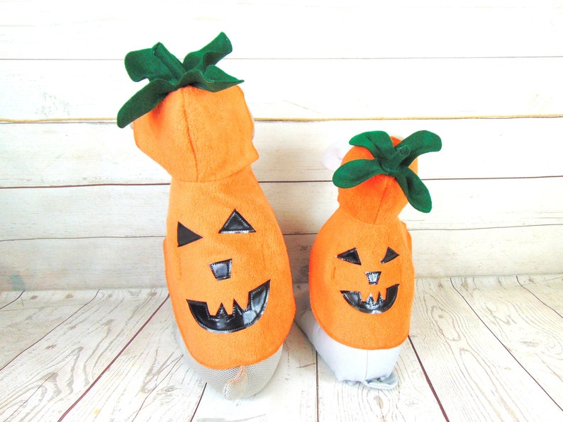 Pumpkin Halloween Costume XXS-XS-S image 6