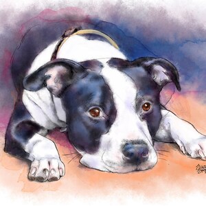 Pit Bull Art Print of Original Watercolor Painting by Suzanne Stephens