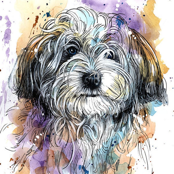 Havanese Dog Art Print of Original Watercolor Painting by Suzanne Stephens