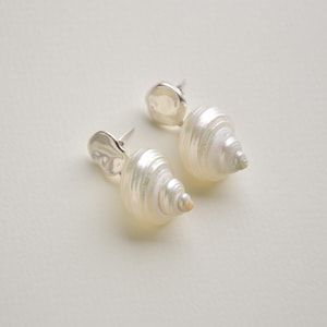 sea shell earrings, seashell earrings, shell jewelry,