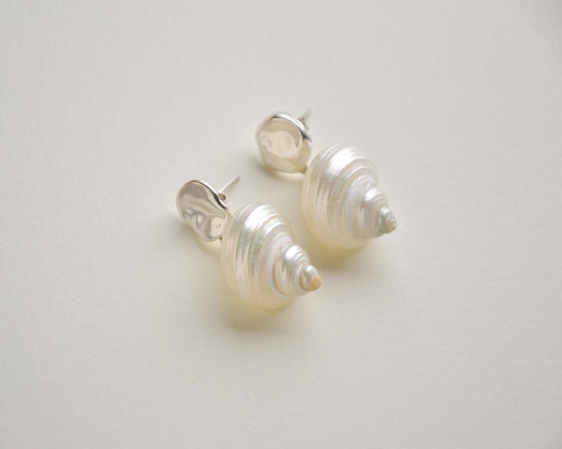 sea shell earrings, seashell earrings, shell jewelry,