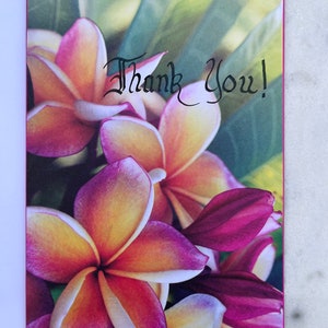 Thank You Card, Plumeria Greeting Card, Tropical Greeting Card, Hawaiian Greeting Card, Floral Greeting Card, Pink Greeting Card