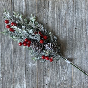 May include: A frosted green twig with red berries and pine cones, perfect for holiday decorating.