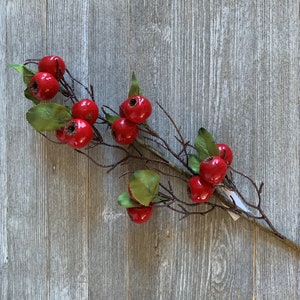 May include: A red berry sprig with green leaves. The berries are clustered together on the branches. The sprig is on a gray wooden background.