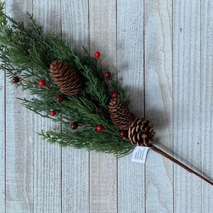 May include: A green pine sprig with three brown pine cones and red berries. The sprig is attached to a brown stem.