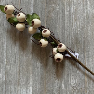 May include: A white twig with multiple white eyeball-shaped ornaments with brown pupils. The twig is on a gray wooden background.