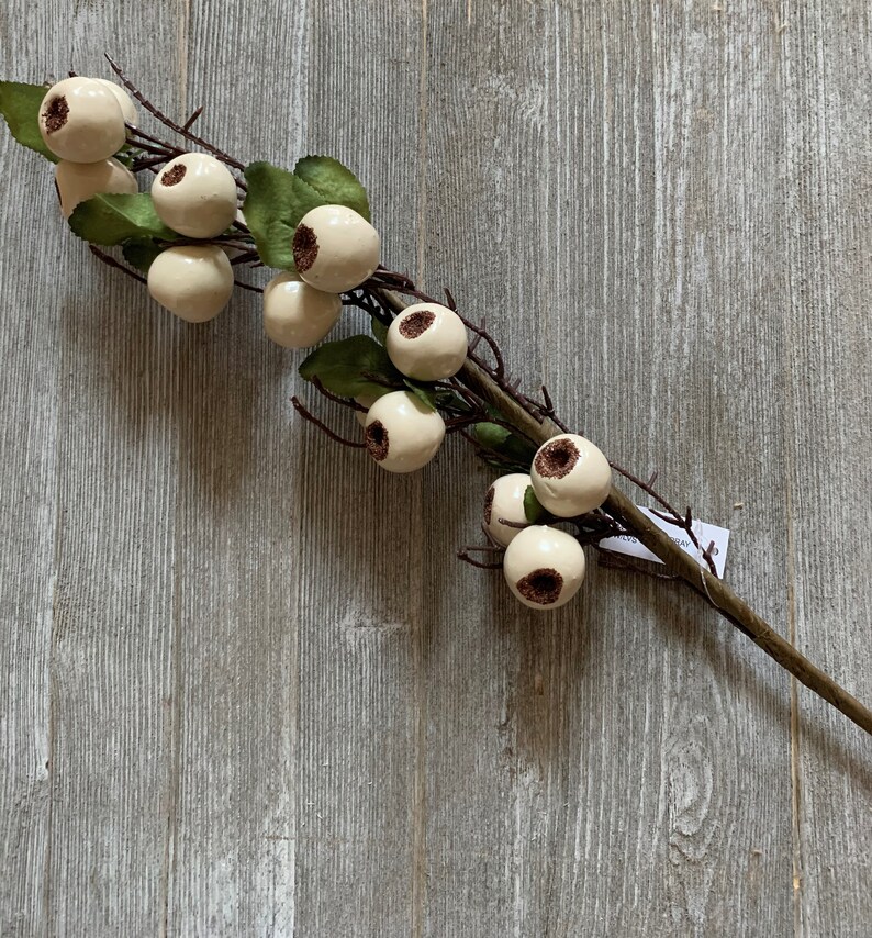 May include: A white twig with multiple white eyeball-shaped ornaments with brown pupils. The twig is on a gray wooden background.