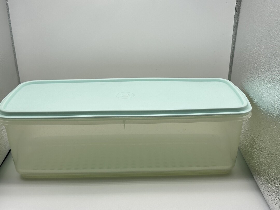 Vintage Tupperware Robin's Egg Blue Celery Keeper Etsy