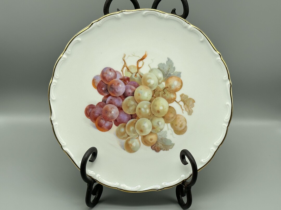 Vintage Bavaria China Schumann Arzberg Germany Decorative Plate Etsy