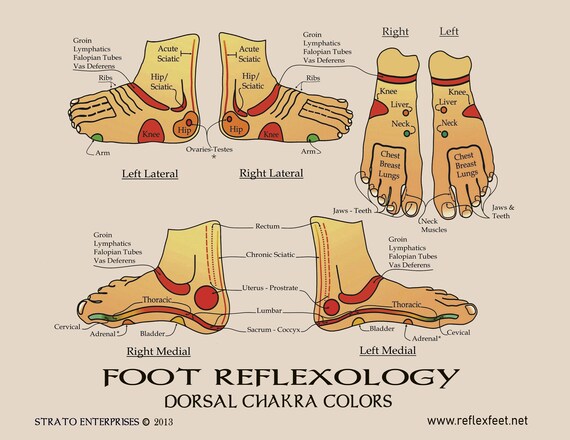 Foot Reflexology Foot Chart