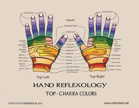 Reflexology Hand Map Chart