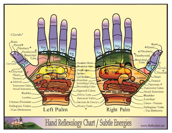 Printable Hand Reflexology Chart