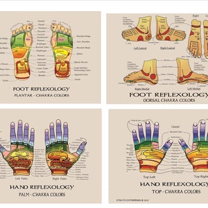May include: A chart showing the locations of reflexology points on the feet and hands, with corresponding body parts and chakra colors. The chart includes the text "Foot Reflexology Plantar - Chakra Colors", "Foot Reflexology Dorsal - Chakra Colors", "Hand Reflexology Palm - Chakra Colors", and "Hand Reflexology Top - Chakra Colors".