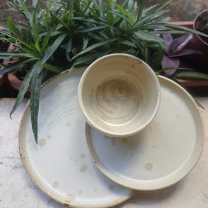 May include: A set of two round ceramic plates and one matching ceramic bowl in a light cream color. The plates and bowl feature a subtle, speckled brown pattern across their surfaces, with a smooth, glazed finish and slightly raised edges.