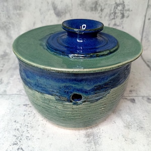 Green and Blue Garlic Keeper, Green and Blue Onion Keeper - Kitchen Storage