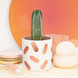 May include: A white ceramic planter with a copper geometric pattern holds a green cactus plant. The planter is sitting on a wooden surface with a pink and yellow coaster and a white, round object.