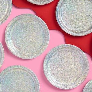 Silver Disposable Paper Plates - 9 Inch Round Dinner Plates, 16 Count For Parties & Events