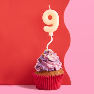 May include: A purple and white frosted cupcake with colorful sprinkles topped with a white number nine candle on a red and pink background.