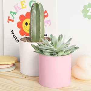 May include: Two potted plants, a cactus in a white pot and a succulent in a pink pot, on a wooden surface. The cactus is tall and slender with green stems. The succulent is a rosette with green leaves. There is a poster in the background with the text "Take Care Plants" and a green circle with the number "2" in it.