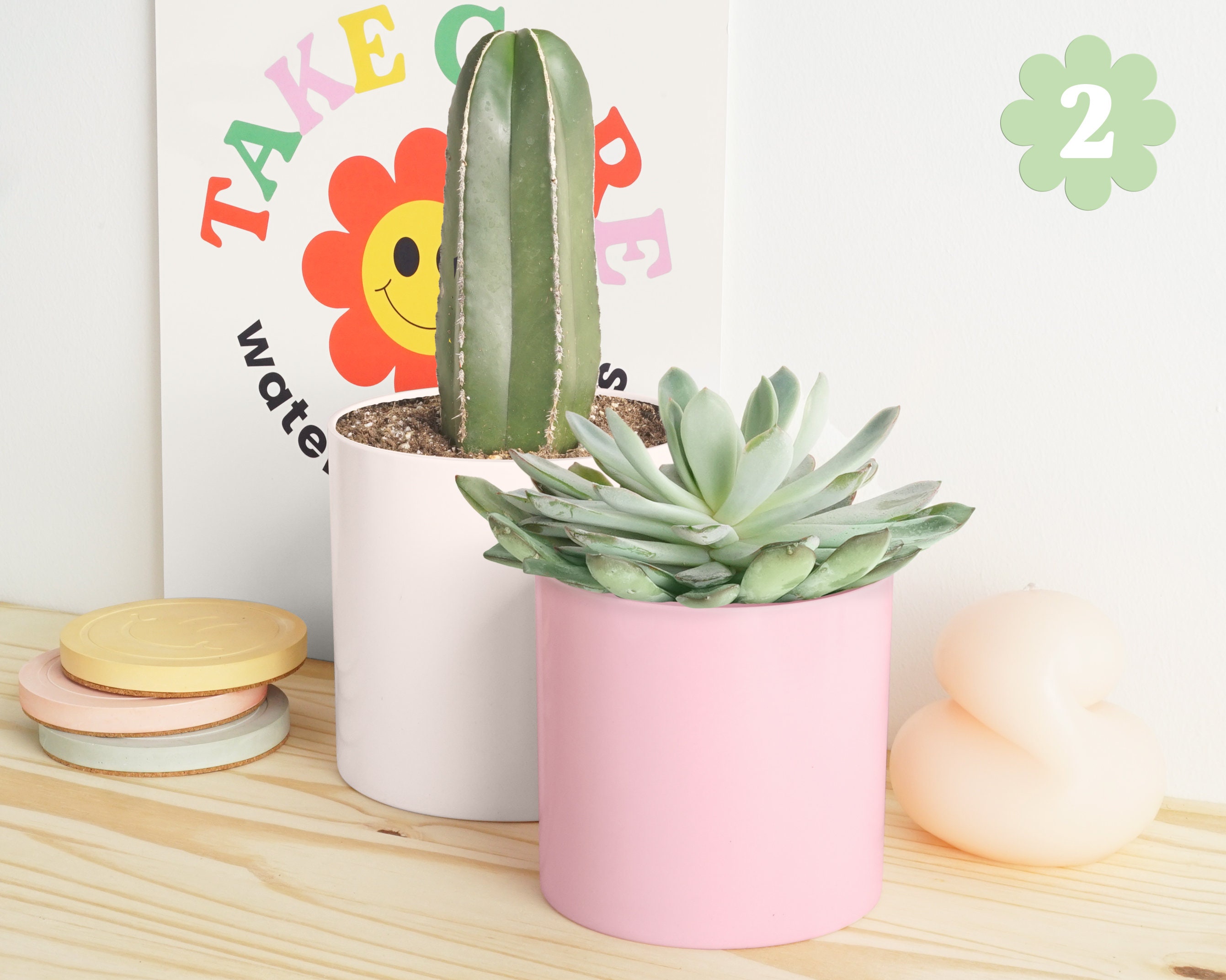 Indoor Planters 6 White 4 Pink Plastic Pot Etsy