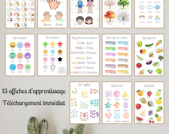 May include: A collection of 13 educational posters in French, featuring topics like the alphabet, body parts, emotions, colors, days of the week, months, vegetables, numbers, shapes, and fruits. The posters are displayed in a room with cacti.