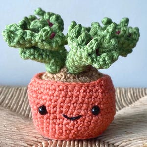 May include: A handmade crochet succulent plant in a terracotta-colored pot. The plant has green leaves with red accents. The pot has a smiling face with black eyes and a curved mouth. The succulent sits on a tan-colored base.