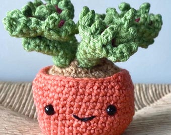 Handmade Crochet Plants, Snake Plant, Venus Fly Trap, and Succulent Amigurumi - Unique Home Decor
