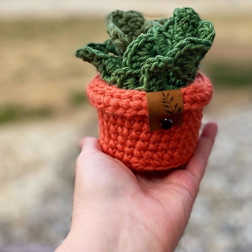 Monstera Coasters Monstera Leaf Coaster Set in a Pot Tiktok Etsy