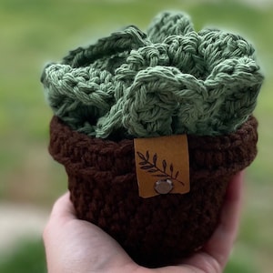 May include: A crocheted succulent plant in a brown crocheted pot with a brown leather tag with a leaf design.
