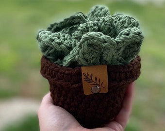 Crochet Monstera Leaf Coaster Set with Pot: Plant Lover Gift