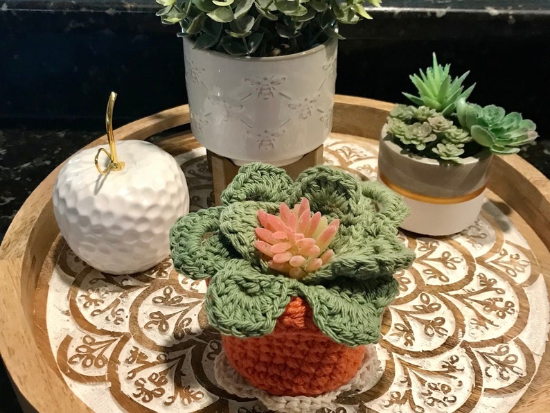 Monstera Coasters, Monstera leaf Coaster set in a Pot, TikTok viral, Crocheted Monstera Leaf Coaster Set and Pot, Crochet leaf Coasters image 7