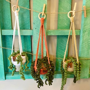 Crochet Hanging Plant: Handmade Boho Home Decor