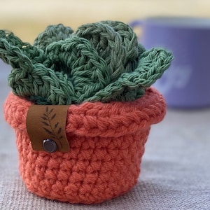 Monstera Coasters, Monstera leaf Coaster set in a Pot, TikTok viral, Crocheted Monstera Leaf Coaster Set and Pot, Crochet leaf Coasters image 8