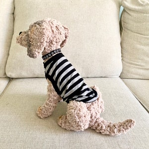 May include: A light brown plush dog toy wearing a black and grey striped top and a black collar with white paw prints. The toy is sitting on a beige sofa.
