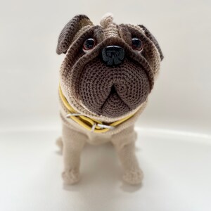 Customized Pug
