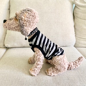 May include: A soft toy dog, seated on a sofa, wearing a black and white striped top. The dog has a black collar with paw print detailing and a small bell. The dog's fur is a mix of light brown and cream colours.