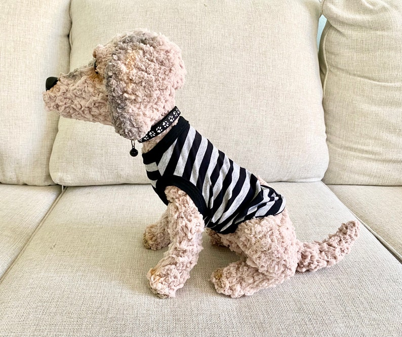 May include: A soft toy dog, seated on a sofa, wearing a black and white striped top. The dog has a black collar with paw print detailing and a small bell. The dog's fur is a mix of light brown and cream colours.