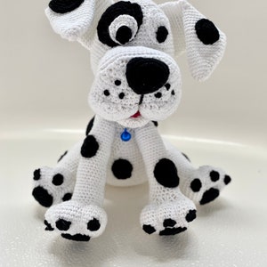 Dalmation