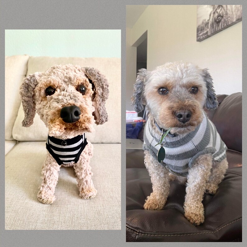 May include: A crocheted dog figure wearing a black and white striped shirt sits on a beige sofa. The dog has brown and grey fur, a black nose and dark eyes. Next to it is a real dog wearing a grey and white striped shirt.