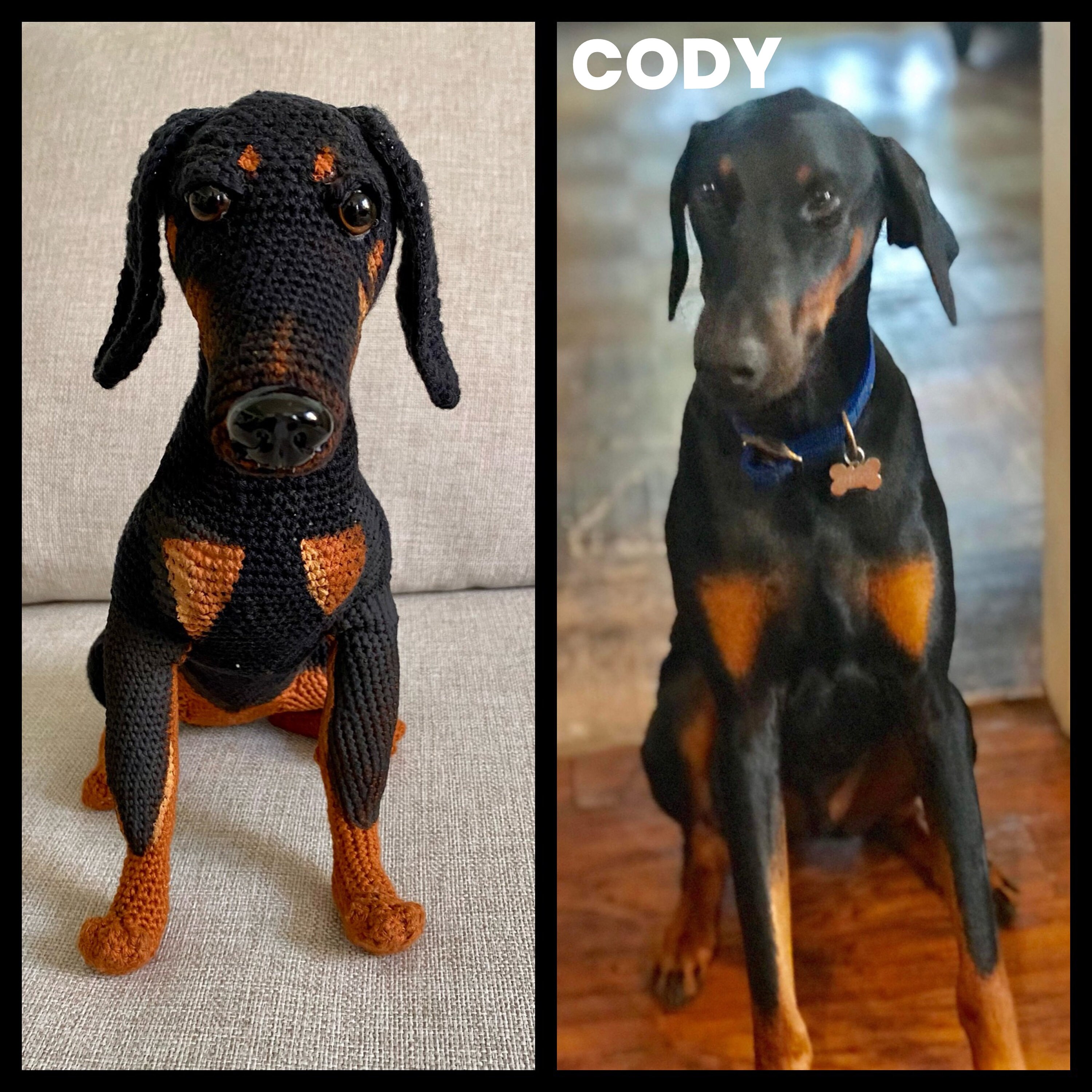 Doberman stuff 2025