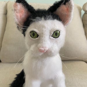 Black & White Cat (customized) - Etsy