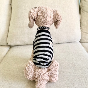 May include: A light brown plush dog toy wearing a black and grey striped top and a black collar with white paw prints. The toy is sitting on a beige sofa.