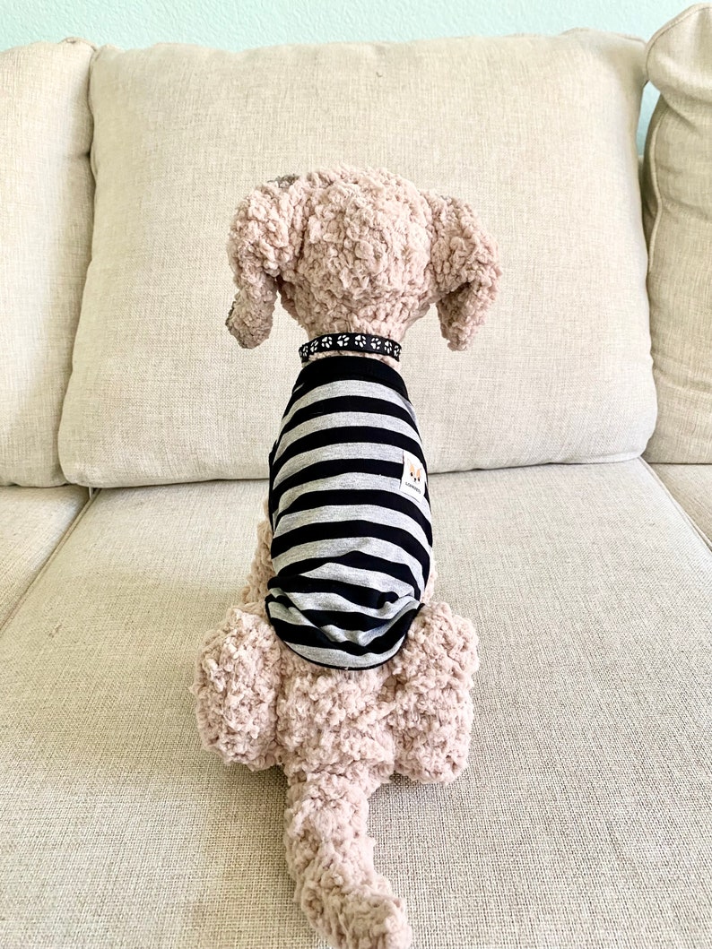 May include: A light brown plush dog toy wearing a black and grey striped top and a black collar with white paw prints. The toy is sitting on a beige sofa.