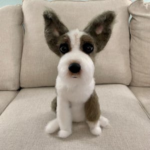 Customized Terrier Mix
